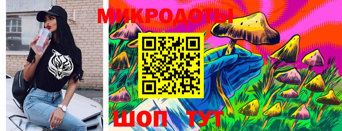 Донской  Псилоцибиновые грибы Psilocybe  Вход с VPN 