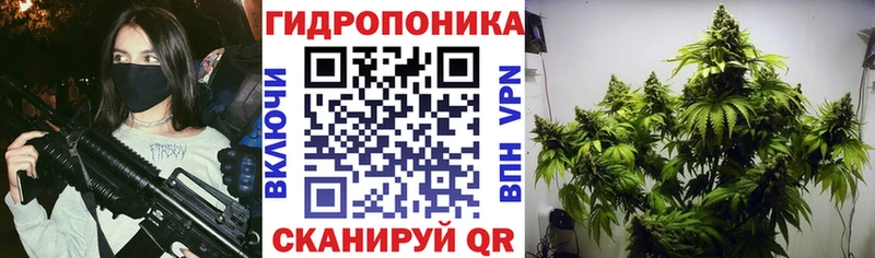 Бошки Шишки SATIVA & INDICA  Донской 